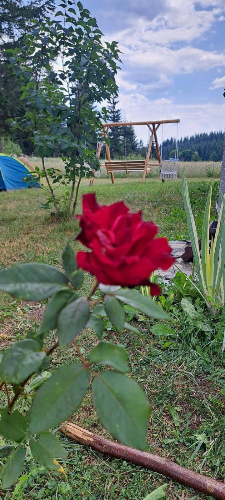 Eco Village Podgora Household Kaljevic Žabljak Exteriör bild